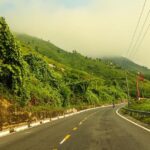 Plants, Climate, and Communication: How Nature Literacy Helps the Public Understand Environmental Change