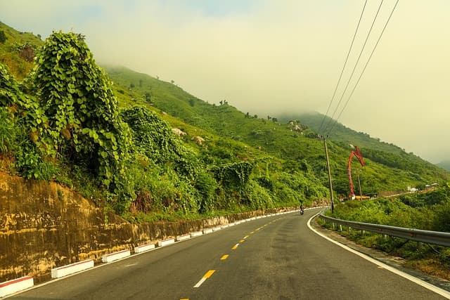 Plants, Climate, and Communication: How Nature Literacy Helps the Public Understand Environmental Change